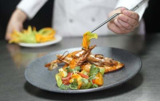 cocina-superior-gastronomia-chef