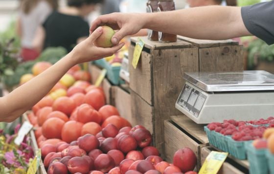 mercado-sostenible-gastronomia