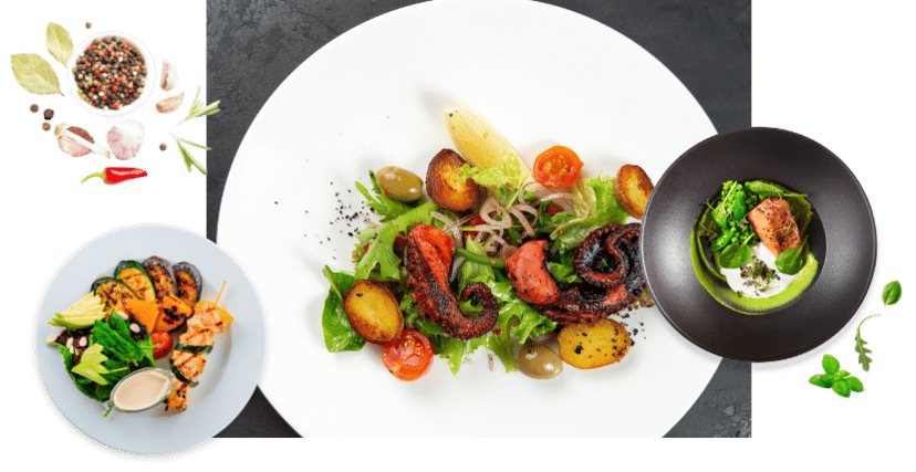 diplomado-superior-de-gastronomia-sabatino-banner