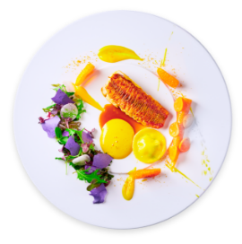licenciatura-en-gastronomia-banner-elementos4