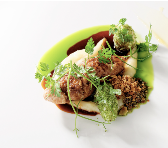 Diplomado Superior en Gastronomía Sabatino