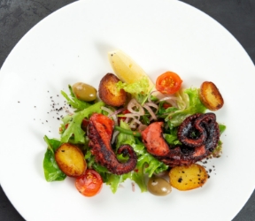 Diplomado Superior en Gastronomía Sabatino